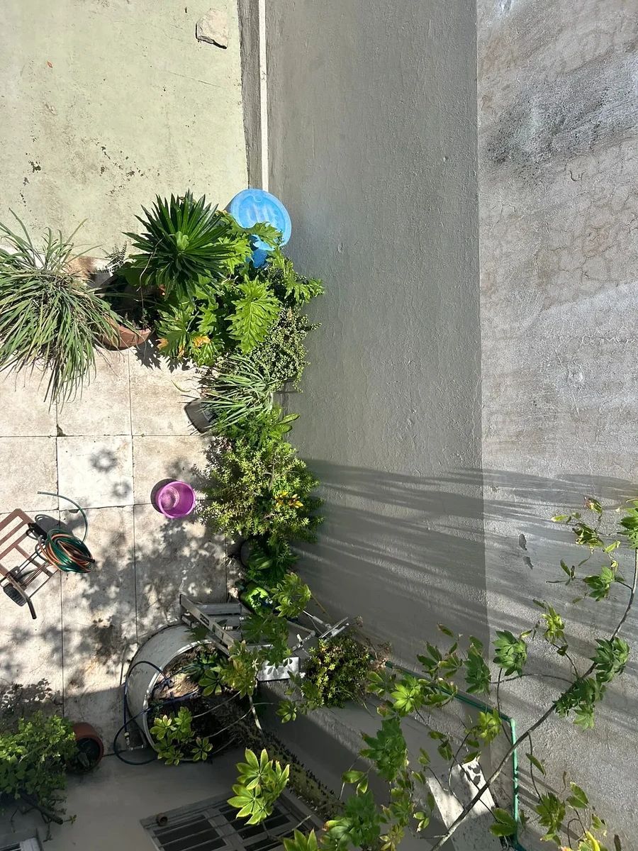 Casa en Americana, Guadalajara, foto 14 de 21