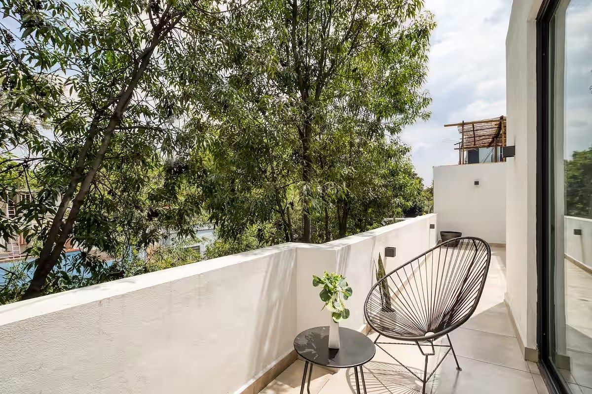 Terraza, photo 12 of 45