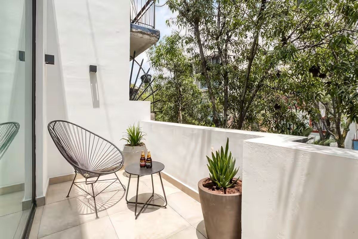 Terraza, photo 13 of 45