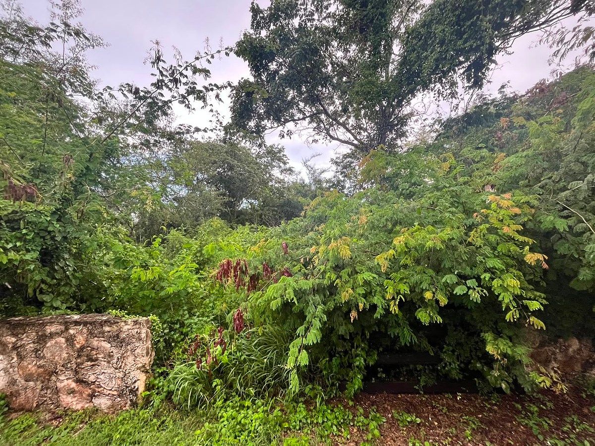 Terreno en Conkal, Conkal, foto 14 de 23