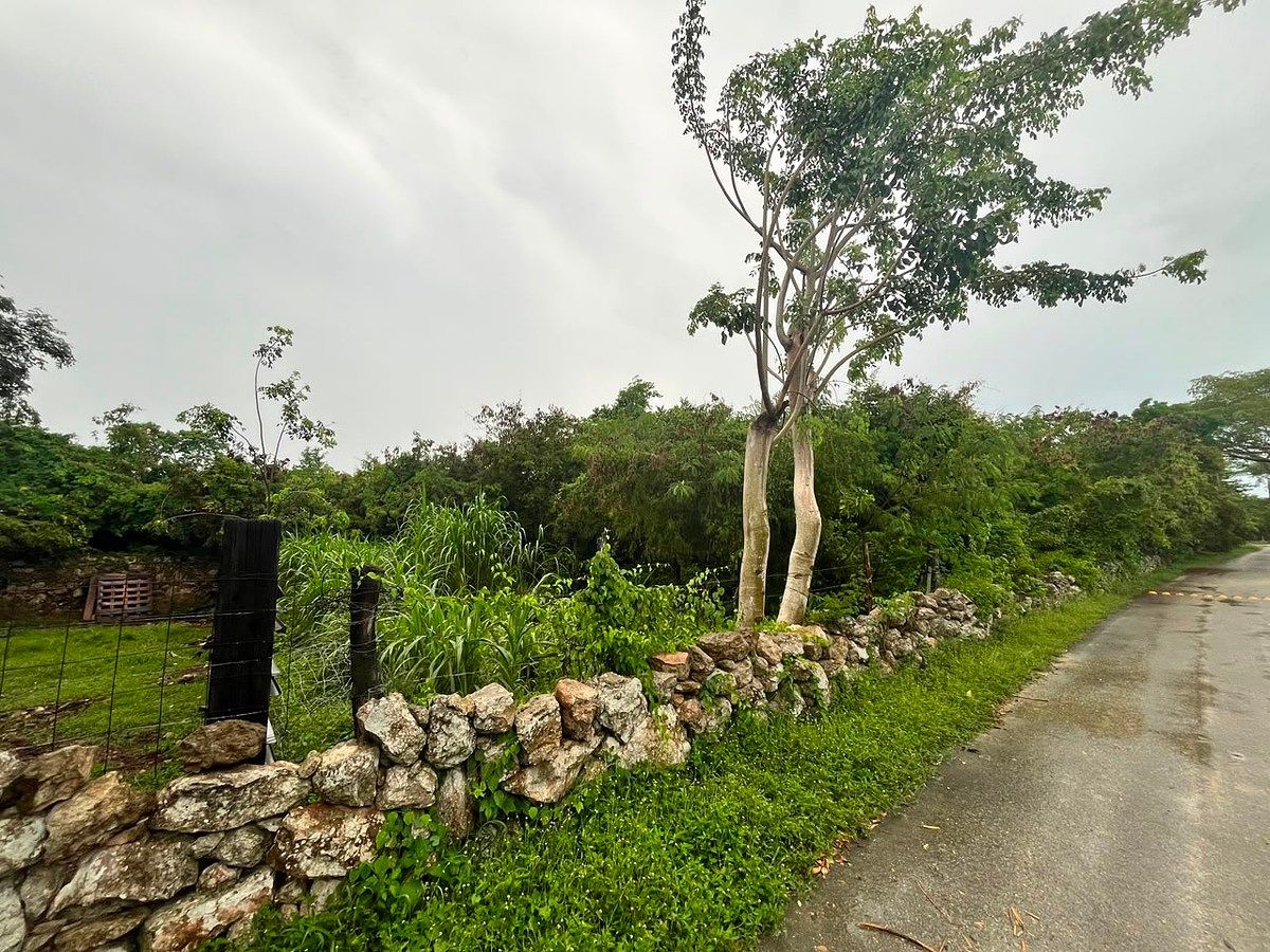 Terreno en Conkal, Conkal, foto 17 de 23