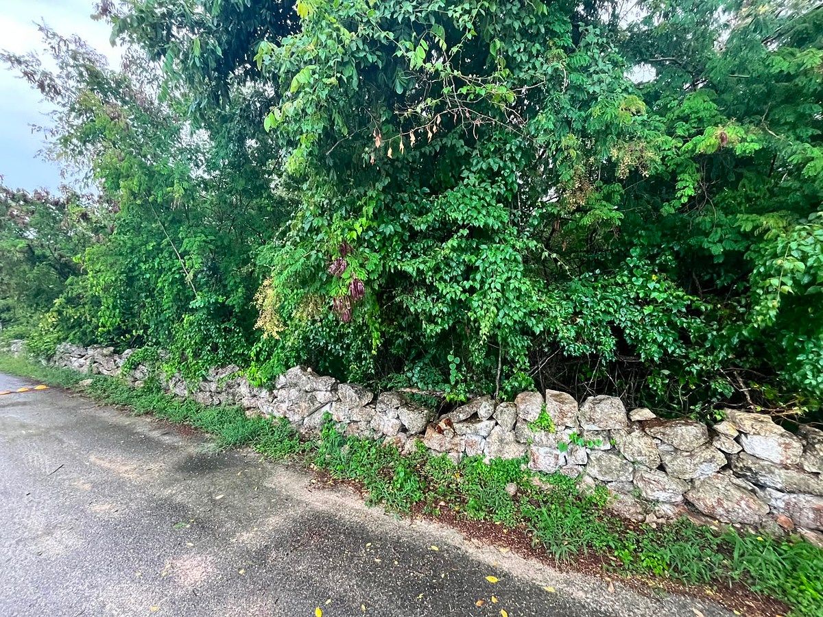 Terreno en Conkal, Conkal, foto 20 de 23