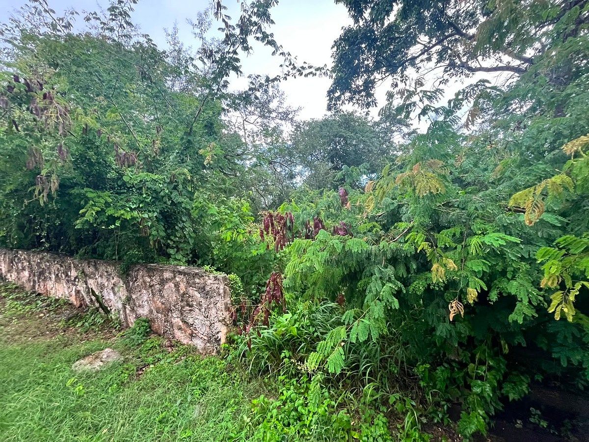 Terreno en Conkal, Conkal, foto 11 de 23