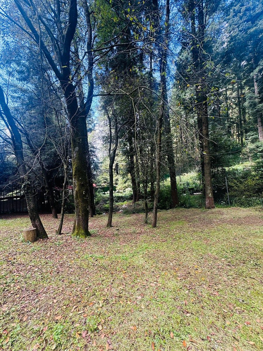Casa en Rancho Blanco, Atizapán de Zaragoza, foto 15 de 47