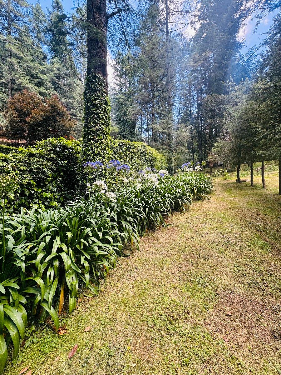 Casa en Rancho Blanco, Atizapán de Zaragoza, foto 47 de 47