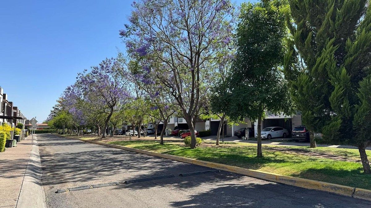 Casa em condomínio fechado em Diamante Residencial, Irapuato, foto 3 de 18