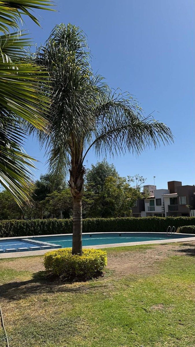 Casa em condomínio fechado em Diamante Residencial, Irapuato, foto 4 de 18