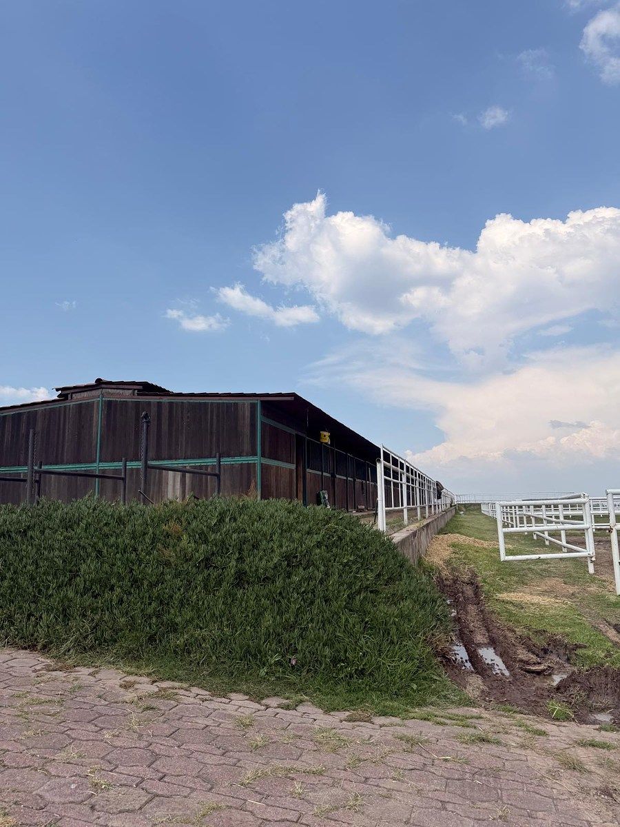 Casa en condominio en Rancho San Juan, Atizapán de Zaragoza, foto 47 de 50