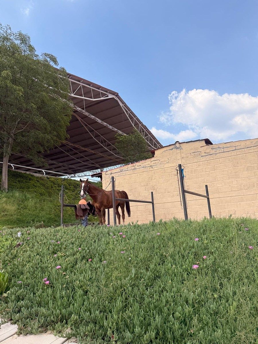 Casa en condominio en Rancho San Juan, Atizapán de Zaragoza, foto 49 de 50