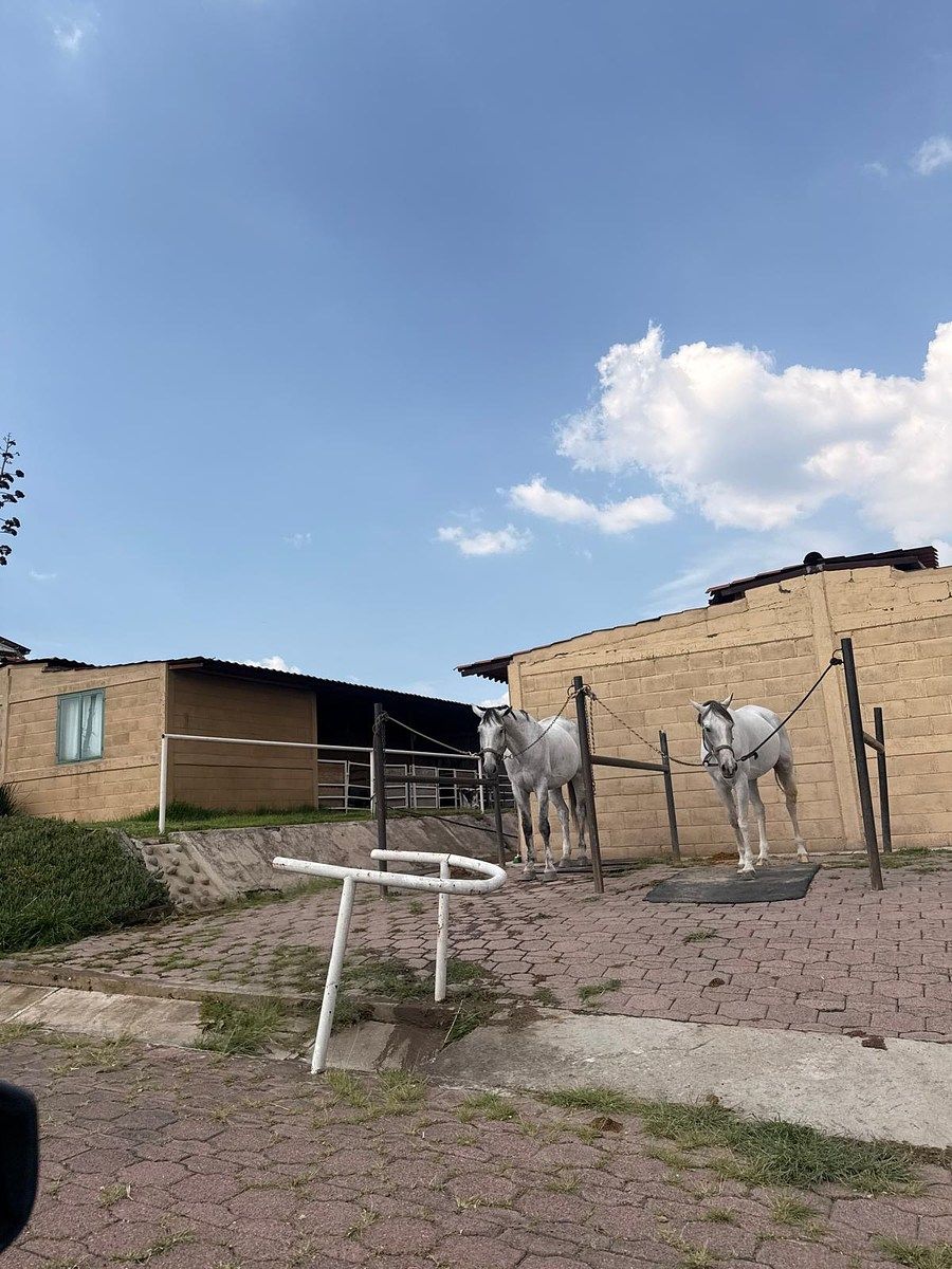 Casa en condominio en Rancho San Juan, Atizapán de Zaragoza, foto 50 de 50