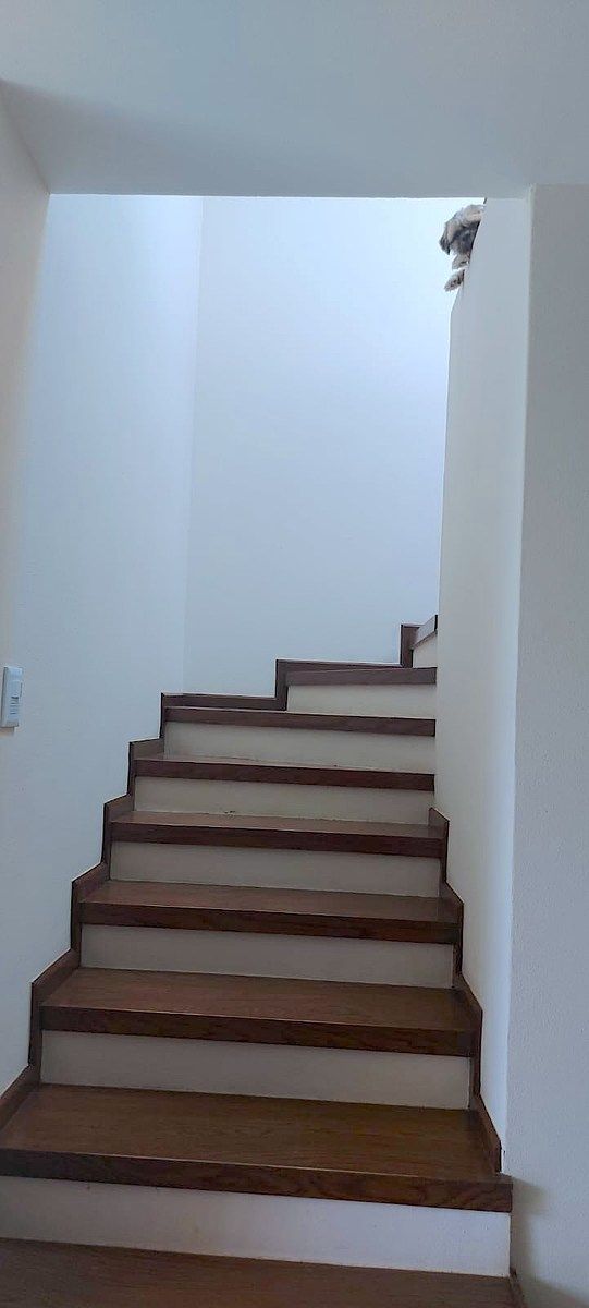Casa en San Andrés Ocotlán, Calimaya, foto 11 de 21