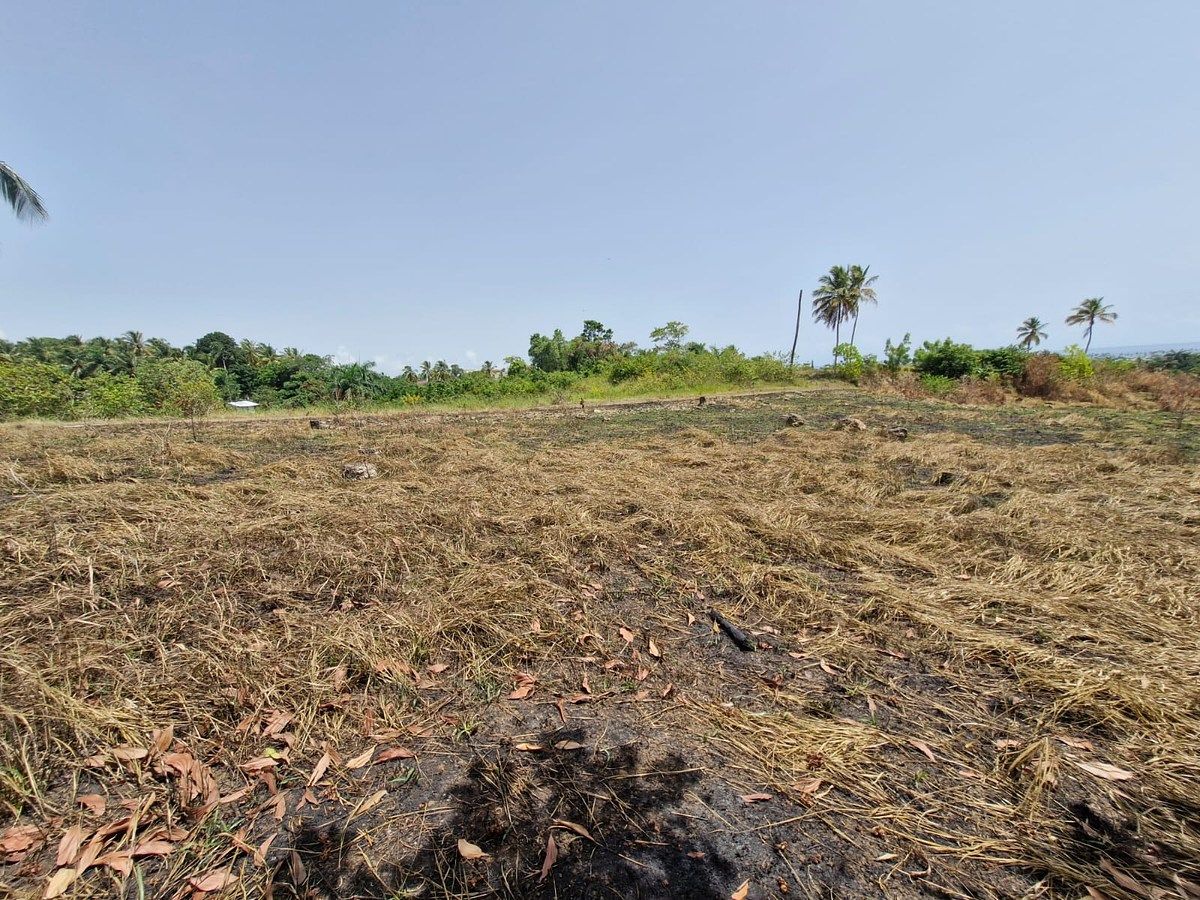 Terreno en Nagua, foto 5 de 8