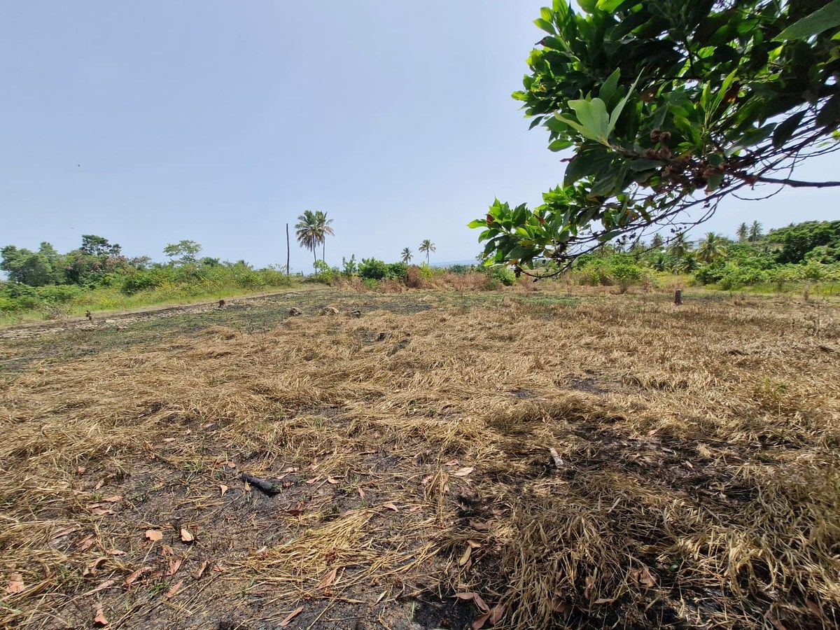 Terreno en Nagua, foto 6 de 8