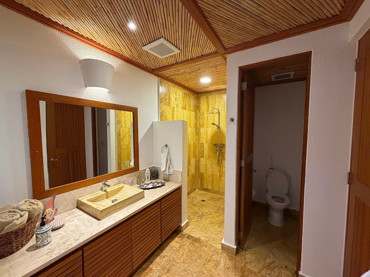Villa en Cap Cana, Punta Cana, foto 5 de 11