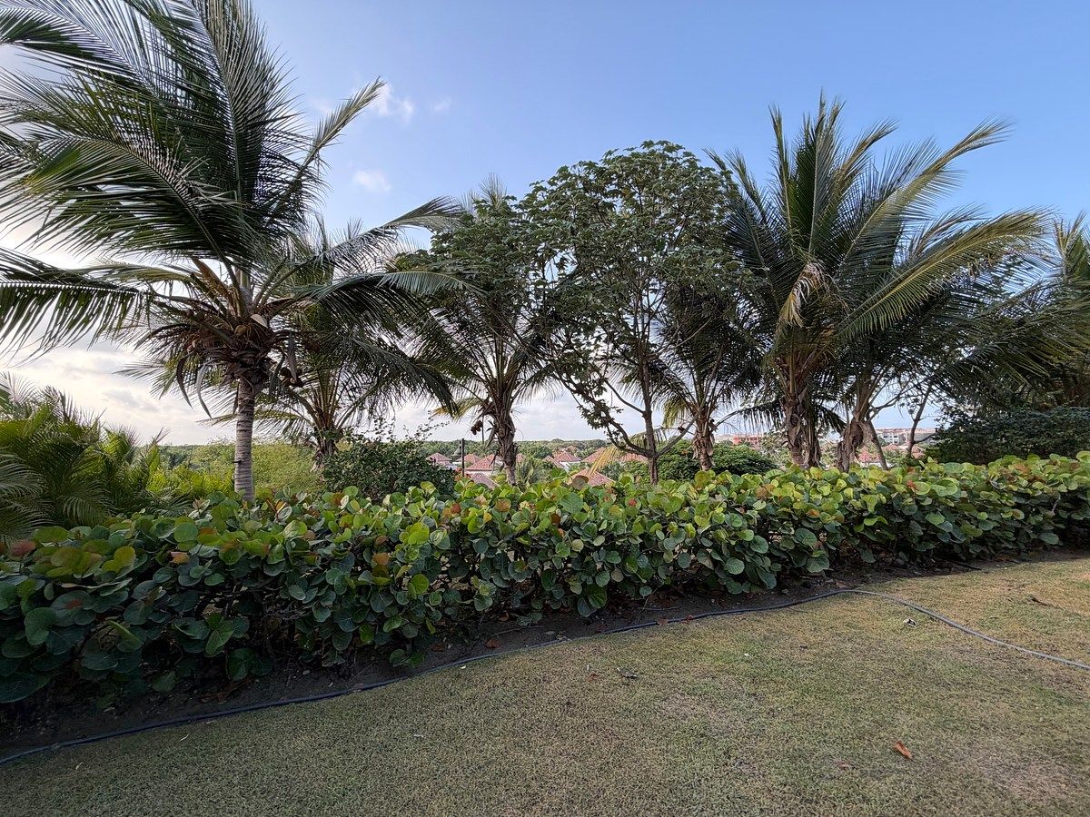 Villa en Cap Cana, Punta Cana, foto 9 de 11