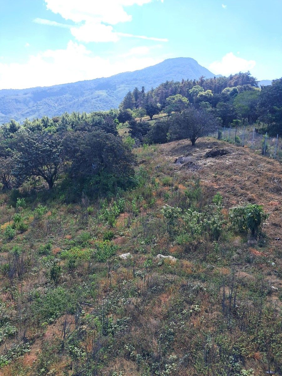 Terreno 240 mt2 en Venta | Condominio Camino 5, San Pedro Las Huertas, foto 1 de 5