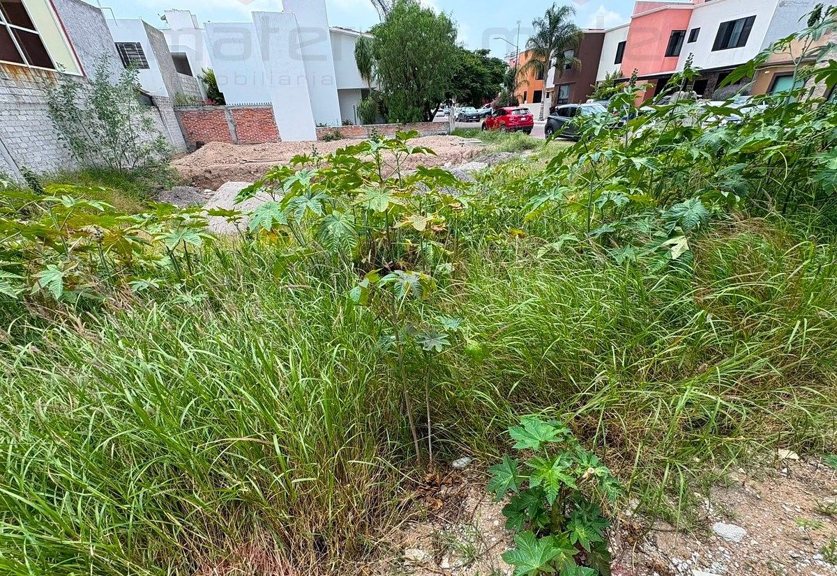 Lote em San Mateo, Corregidora, foto 8 de 10