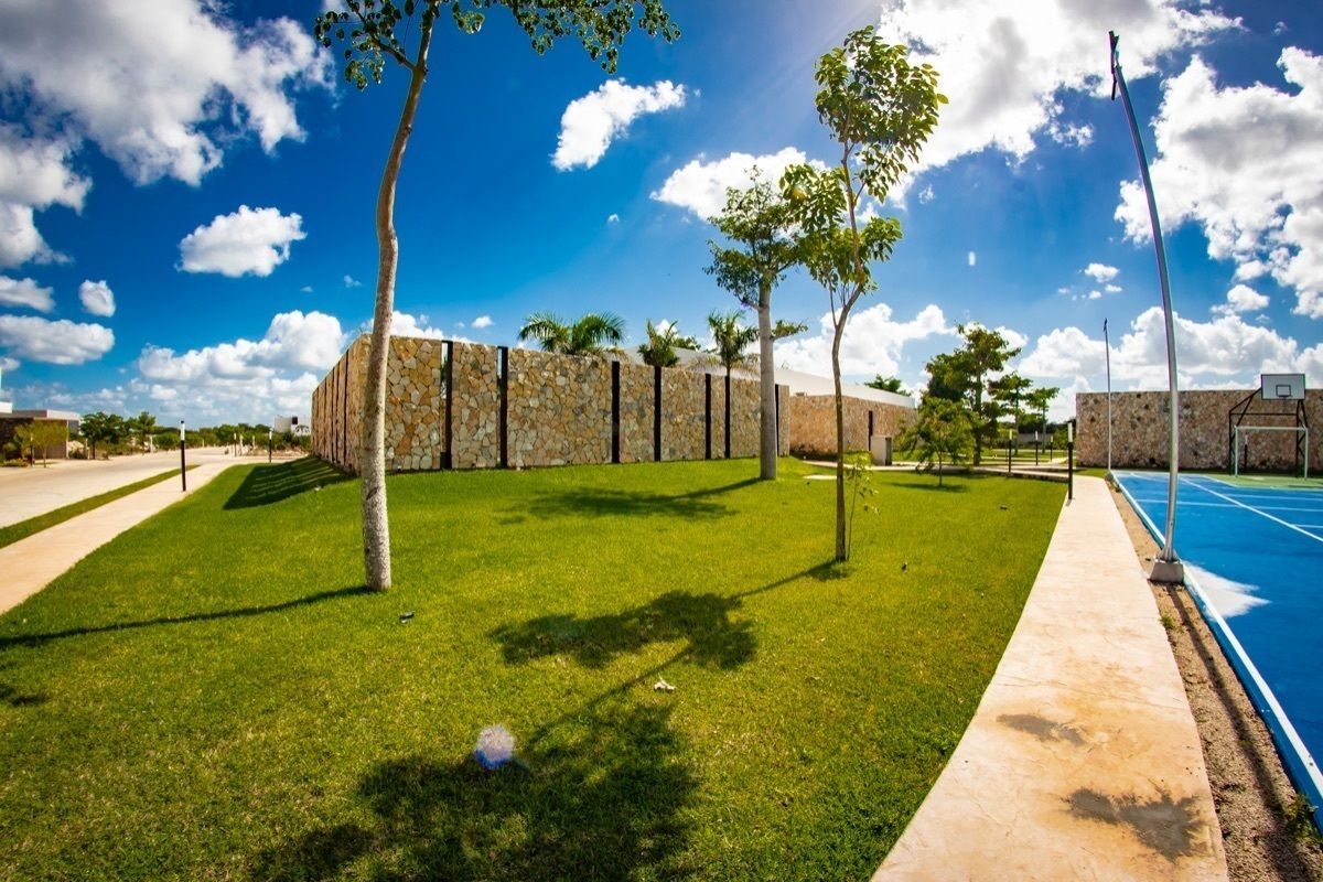 Lot in Cholul, Mérida, photo 5 of 7