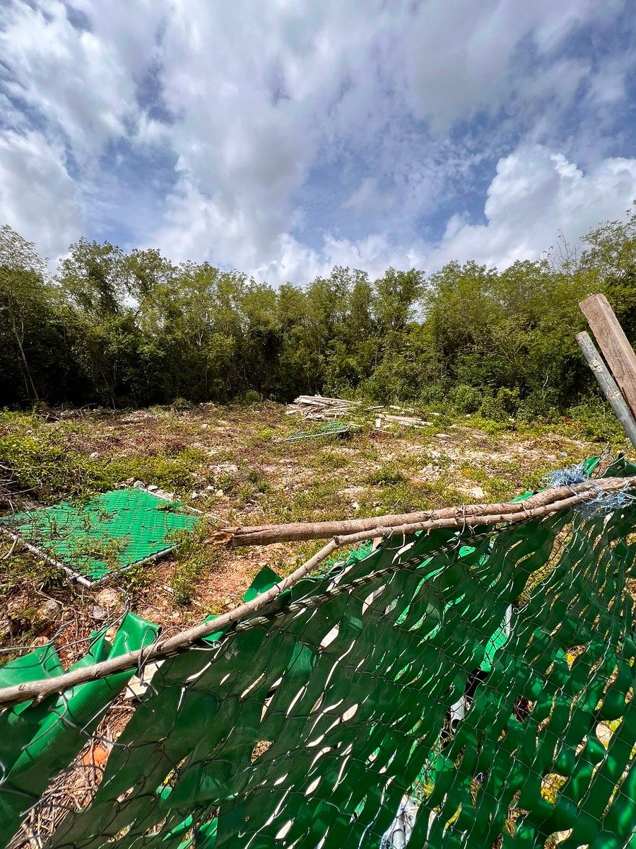 Terreno en Cabo Norte, Mérida, foto 2 de 7
