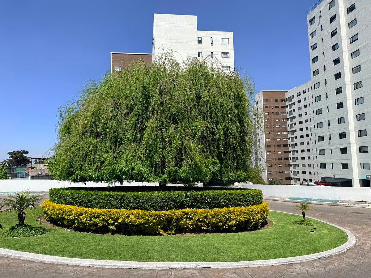 Apartment in Adolfo López Mateos, Cuajimalpa de Morelos, photo 11 of 12