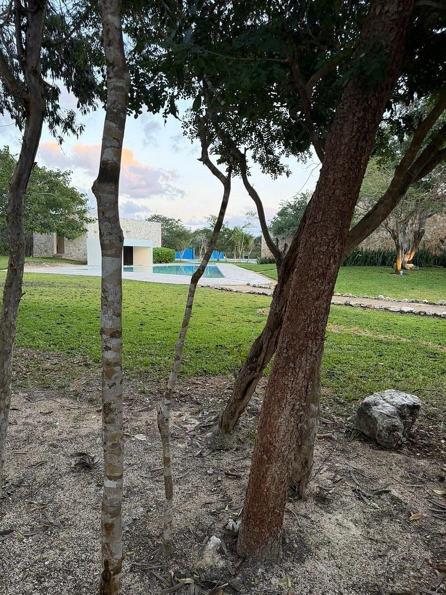Casa en condominio en Paraíso, Progreso, foto 17 de 30