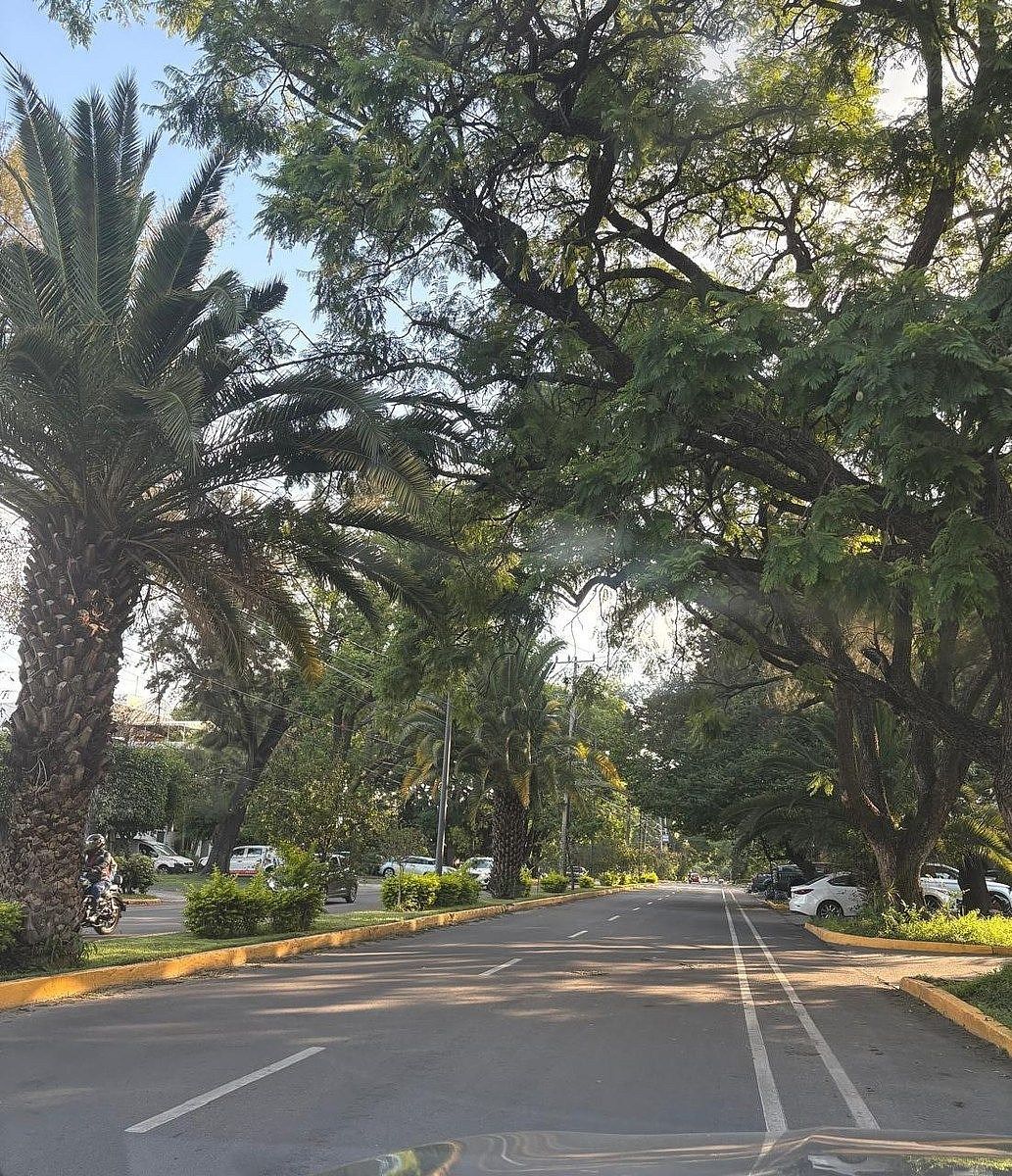 Lote em Chapalita, Guadalajara, foto 4 de 7