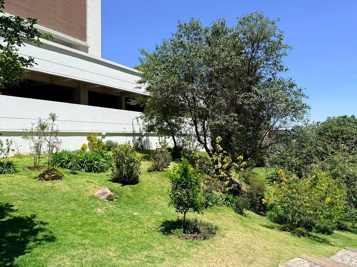 Apartment in Adolfo López Mateos, Cuajimalpa de Morelos, photo 12 of 12