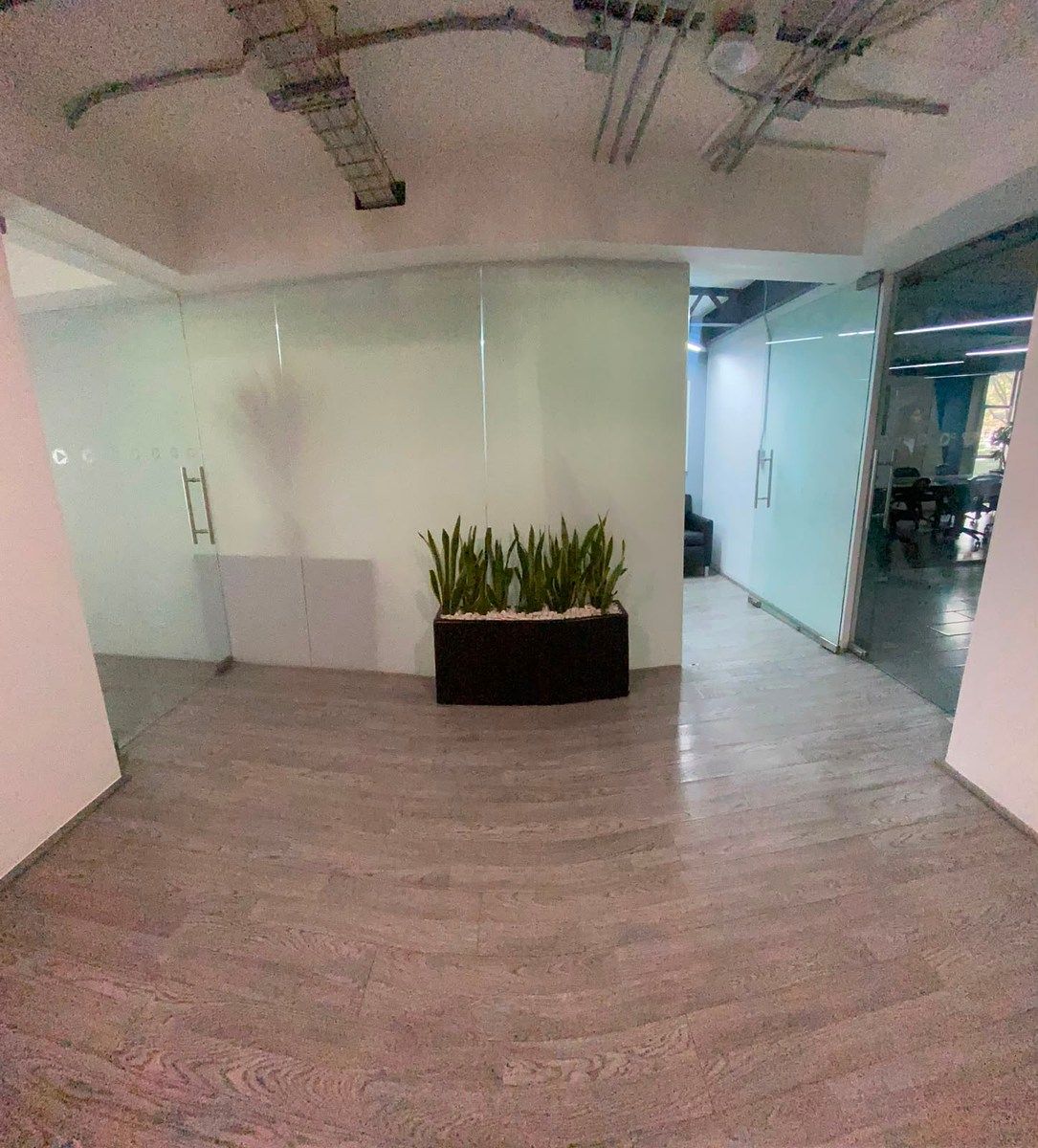Sala Comercial em Polanco V Sección, Miguel Hidalgo, foto 7 de 10