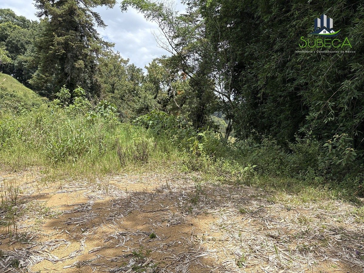Terreno en Briones, Coatepec, foto 5 de 18