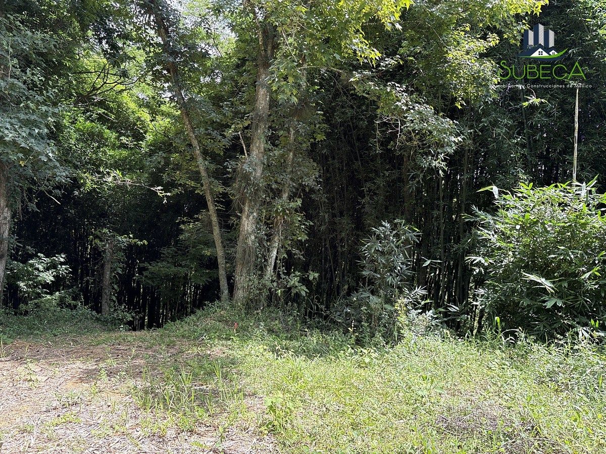 Terreno en Briones, Coatepec, foto 3 de 18