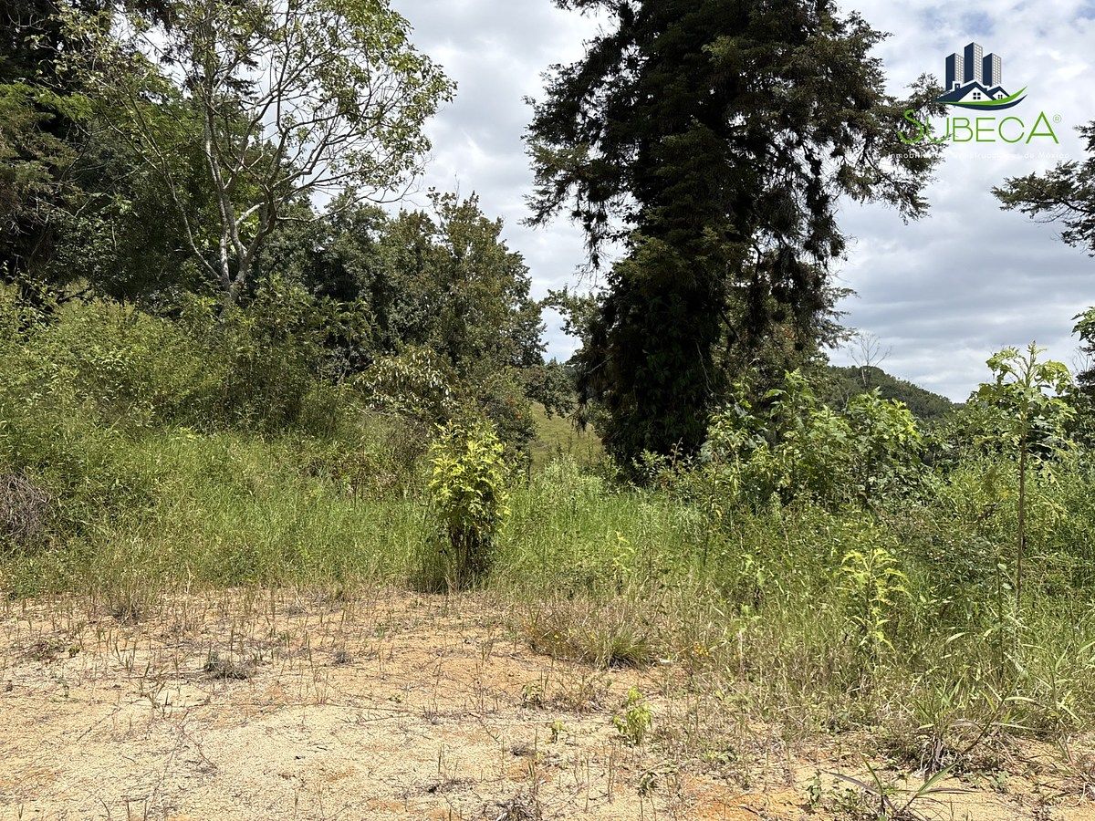 Terreno en Briones, Coatepec, foto 8 de 18