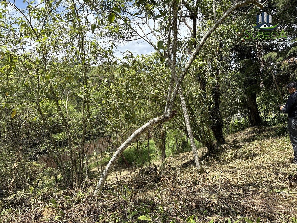 Terreno en Briones, Coatepec, foto 7 de 18