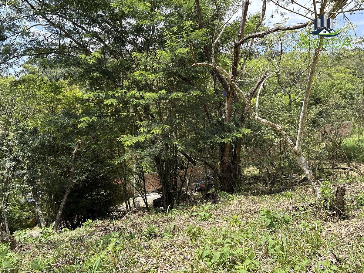 Terreno en Briones, Coatepec, foto 9 de 18