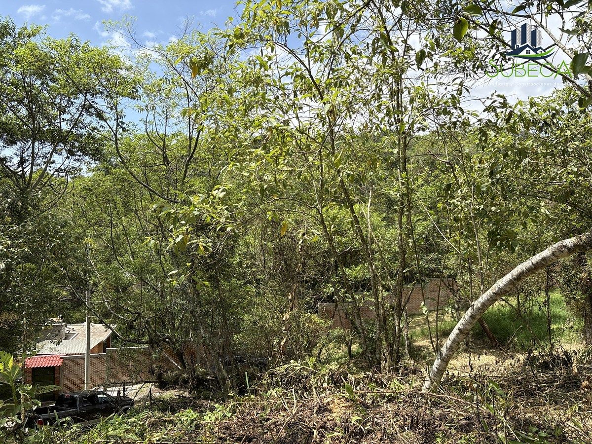 Terreno en Briones, Coatepec, foto 10 de 18