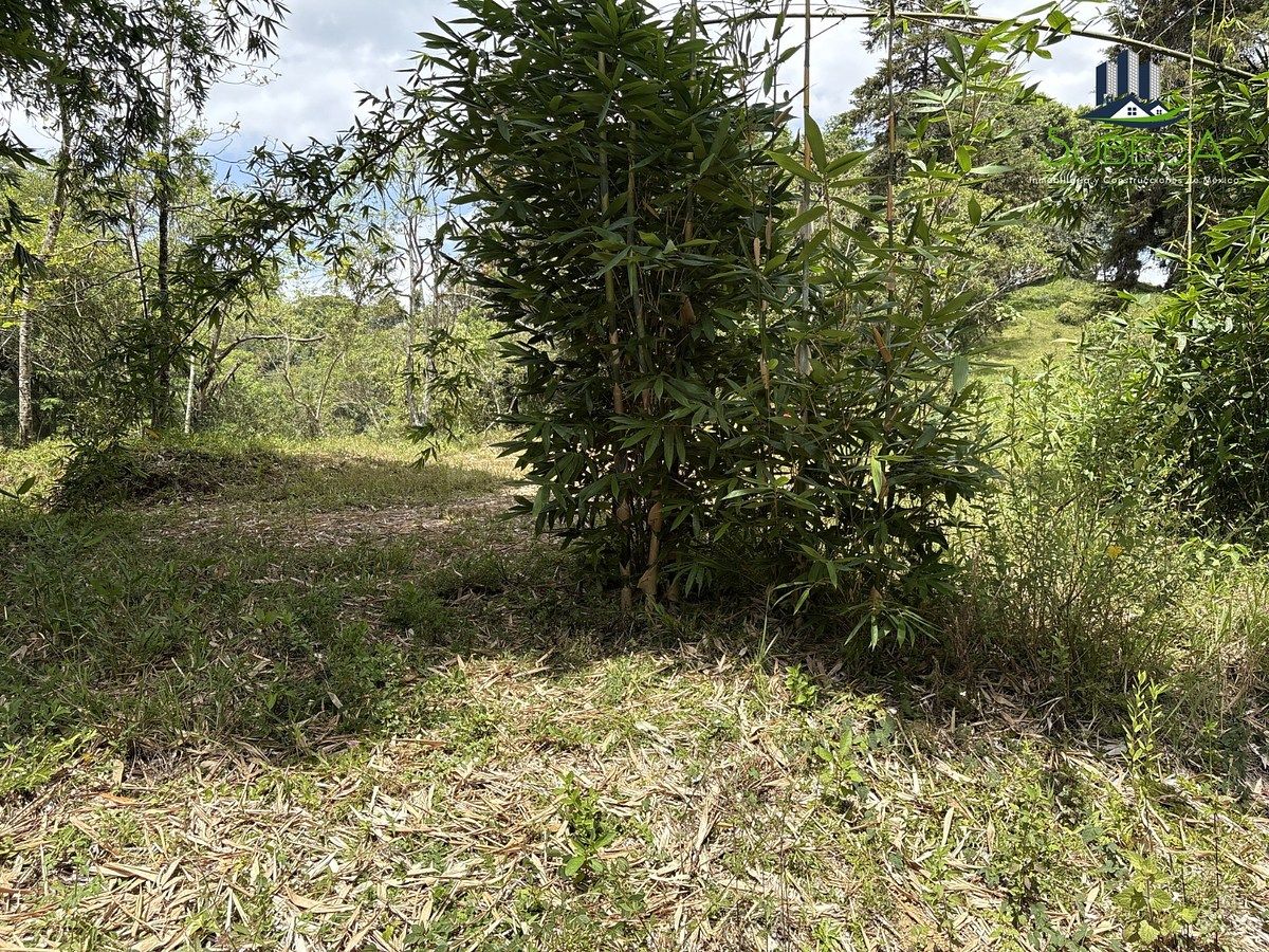 Terreno en Briones, Coatepec, foto 11 de 18