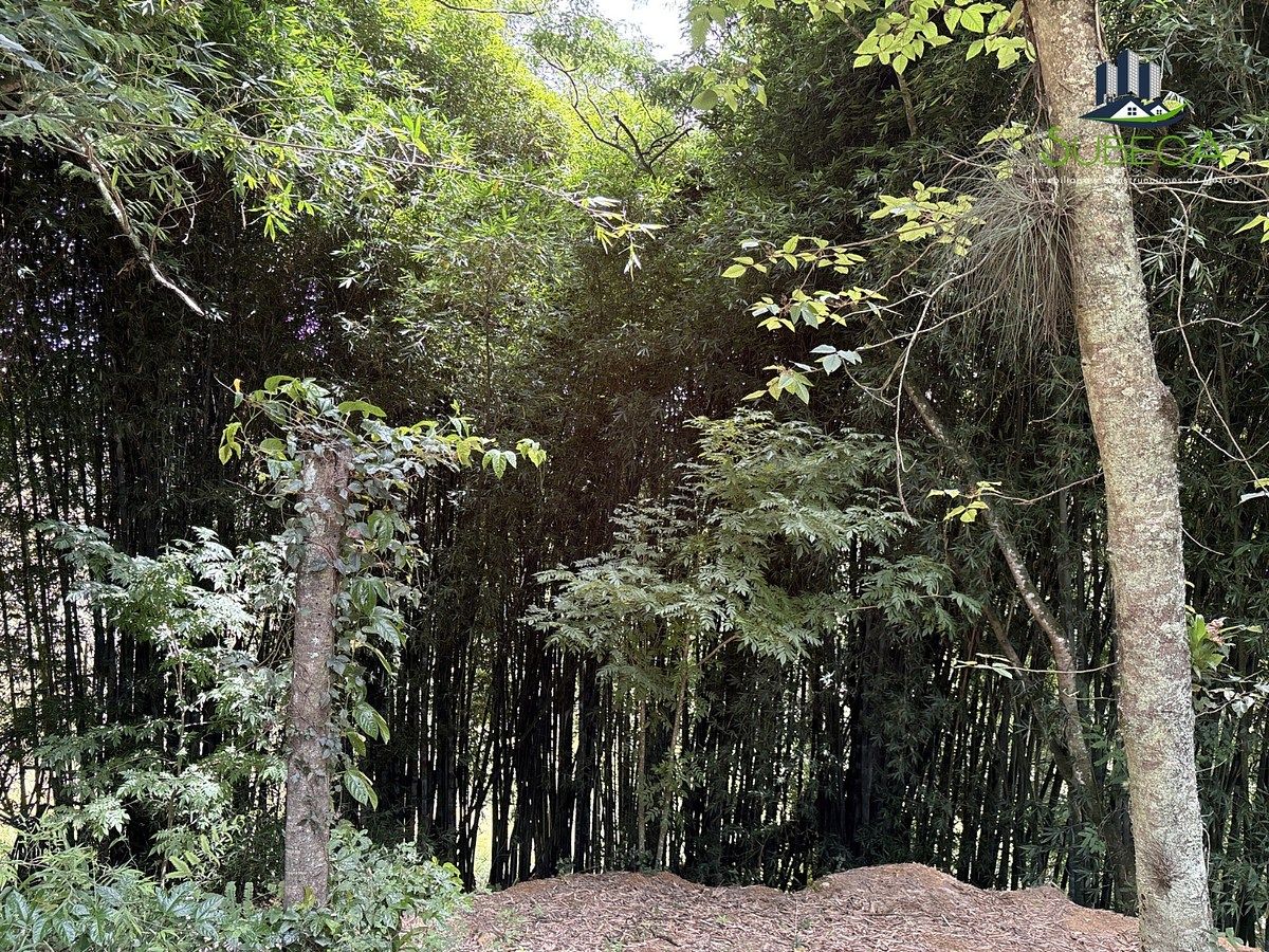 Terreno en Briones, Coatepec, foto 12 de 18