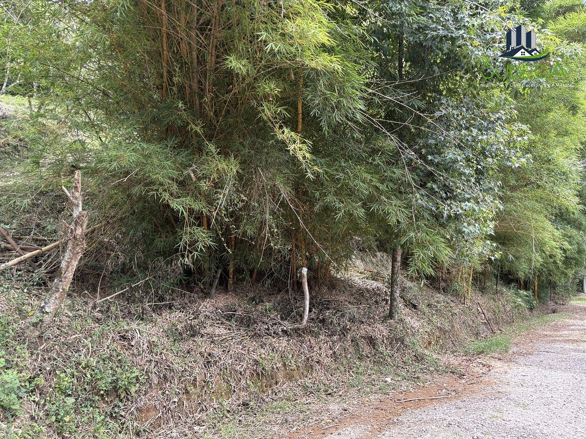 Terreno en Briones, Coatepec, foto 4 de 18