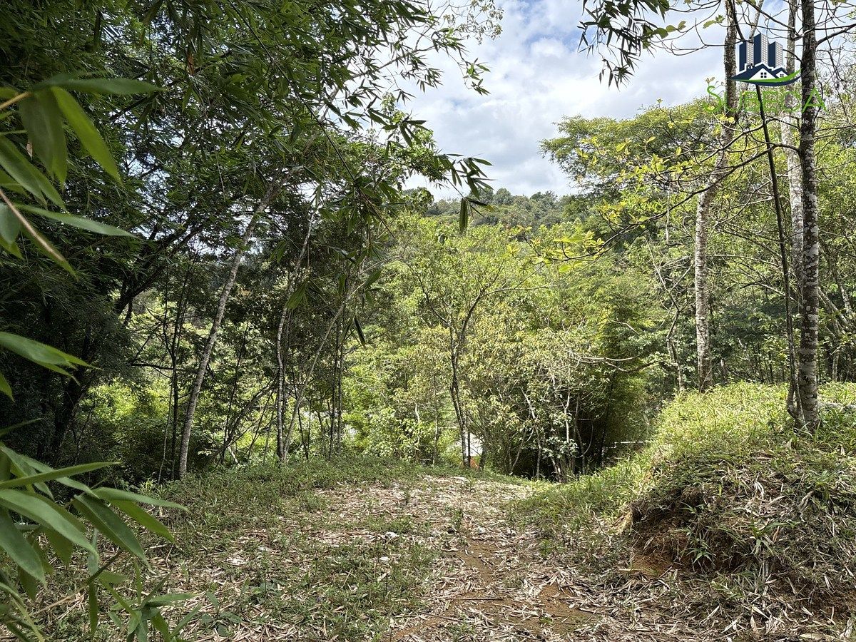 Terreno en Briones, Coatepec, foto 2 de 18