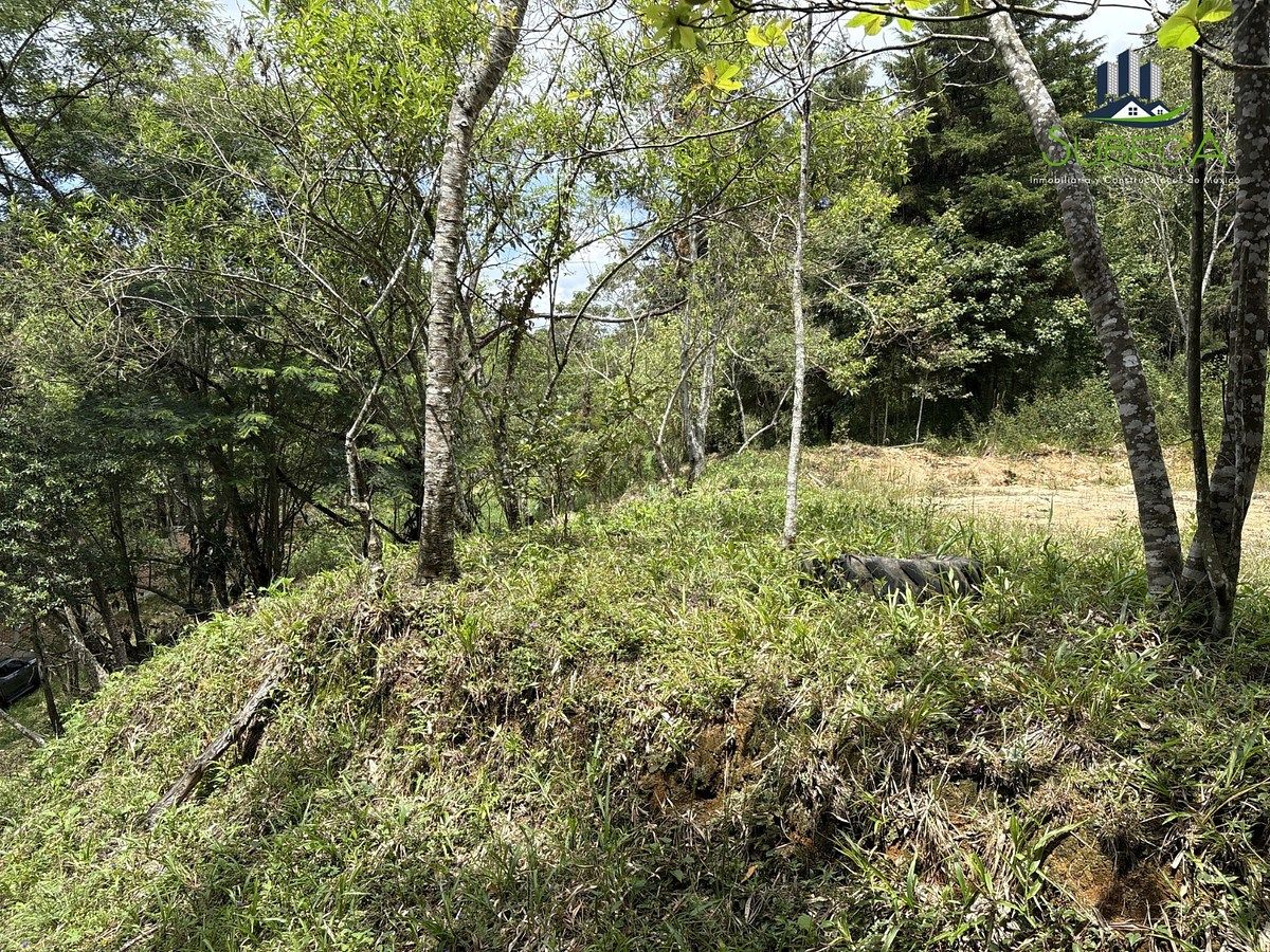 Terreno en Briones, Coatepec, foto 14 de 18