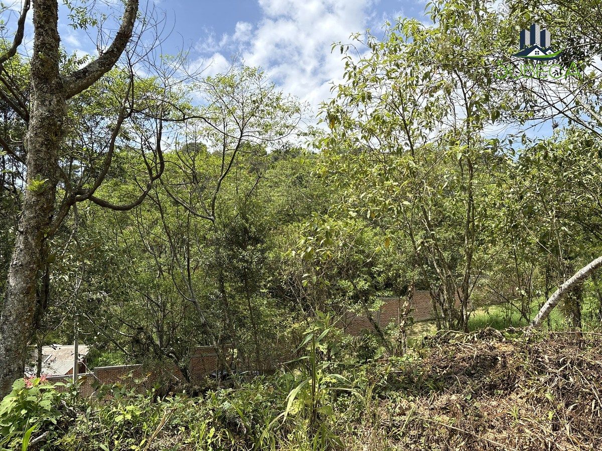 Terreno en Briones, Coatepec, foto 15 de 18