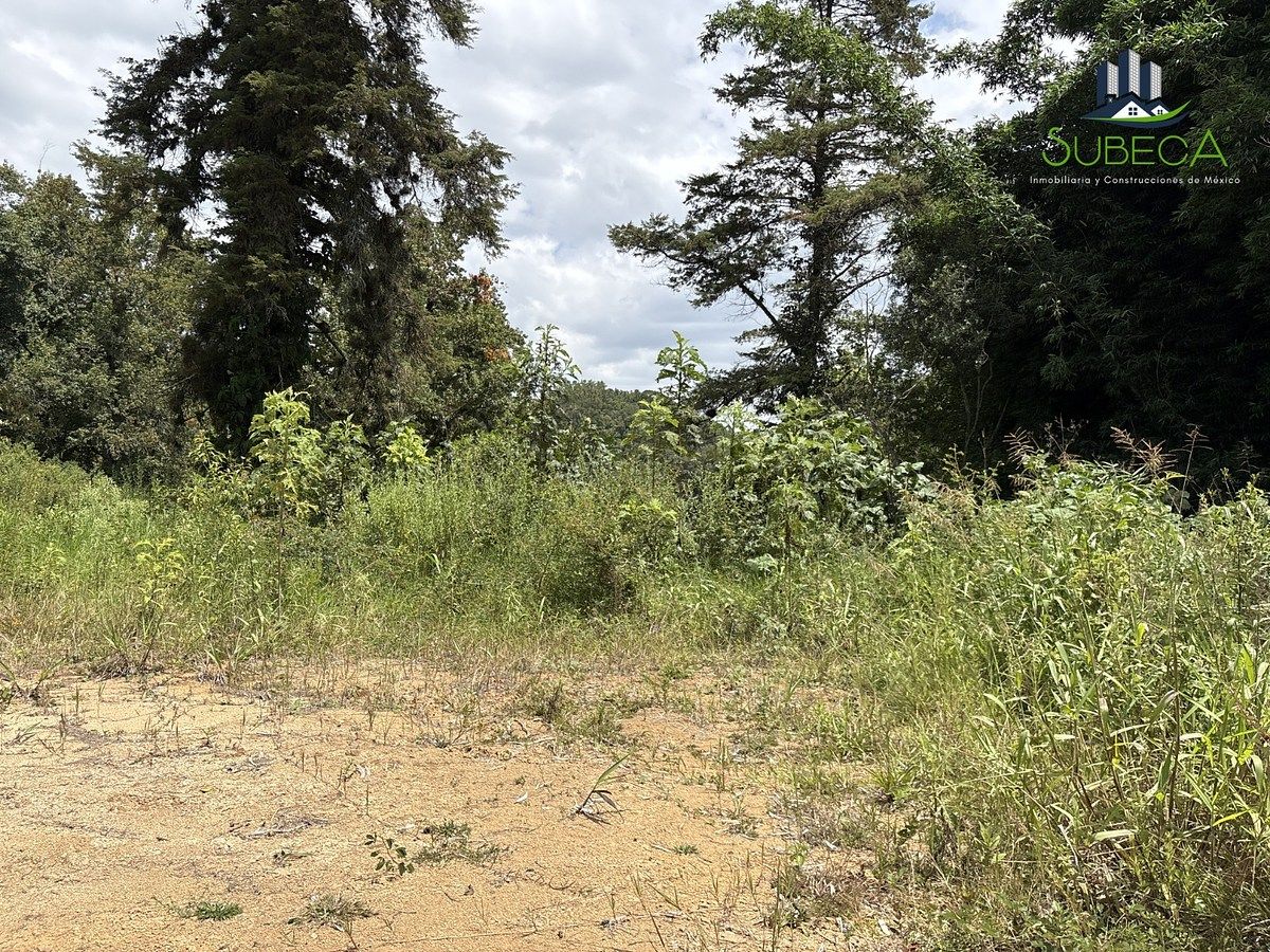 Terreno en Briones, Coatepec, foto 16 de 18