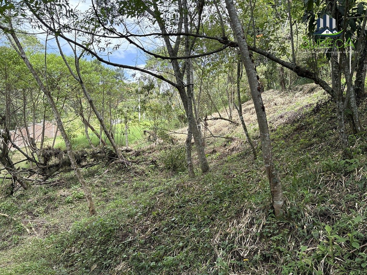 Terreno en Briones, Coatepec, foto 17 de 18