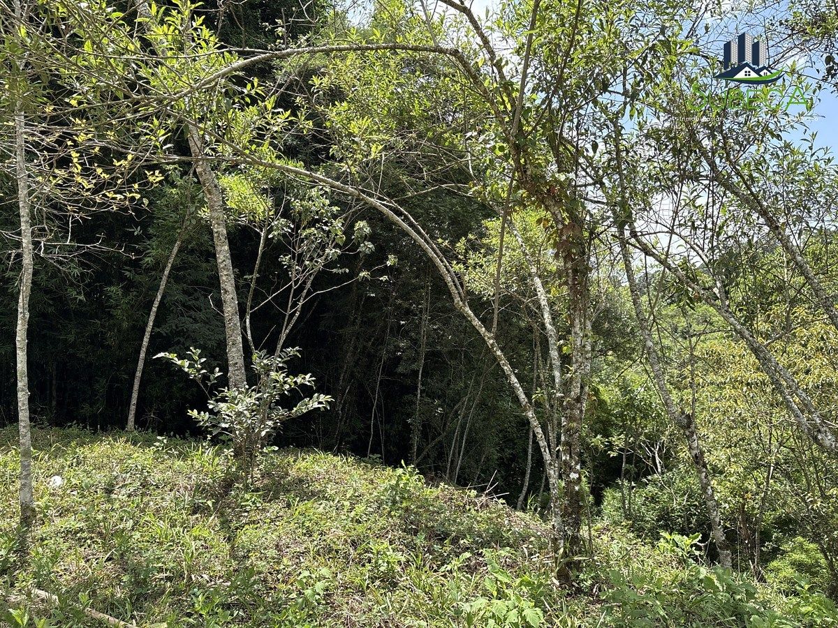 Terreno en Briones, Coatepec, foto 18 de 18