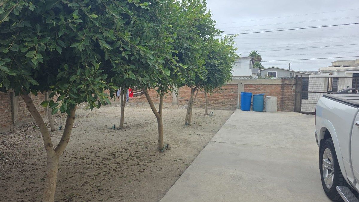 Building in Benito Juárez, Playas de Rosarito, photo 4 of 4
