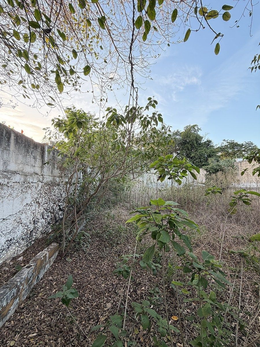 Casa en Mérida Centro, Mérida, foto 6 de 12