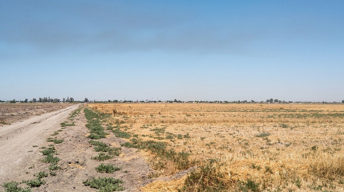 LOTE À VENDA | 20 HECTARES | EJIDO PUEBLA, MEXICALI, foto 1 de 6