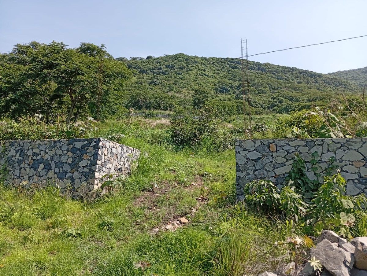 Lot in San Nicolás de Acuña, Tuxcueca, photo 3 of 13