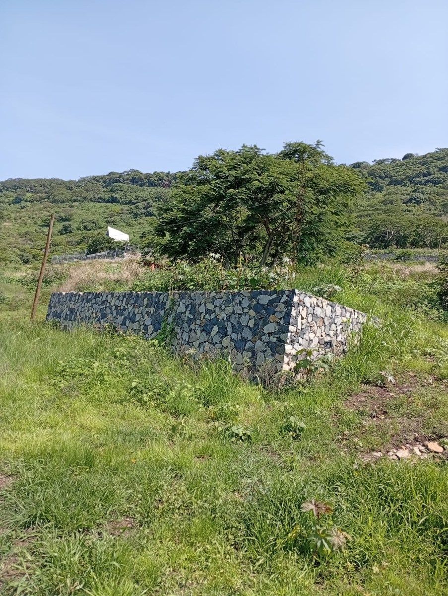 Lot in San Nicolás de Acuña, Tuxcueca, photo 9 of 13