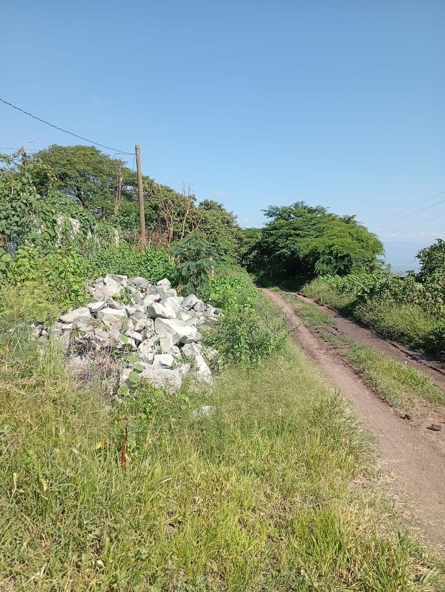 Lot in San Nicolás de Acuña, Tuxcueca, photo 13 of 13