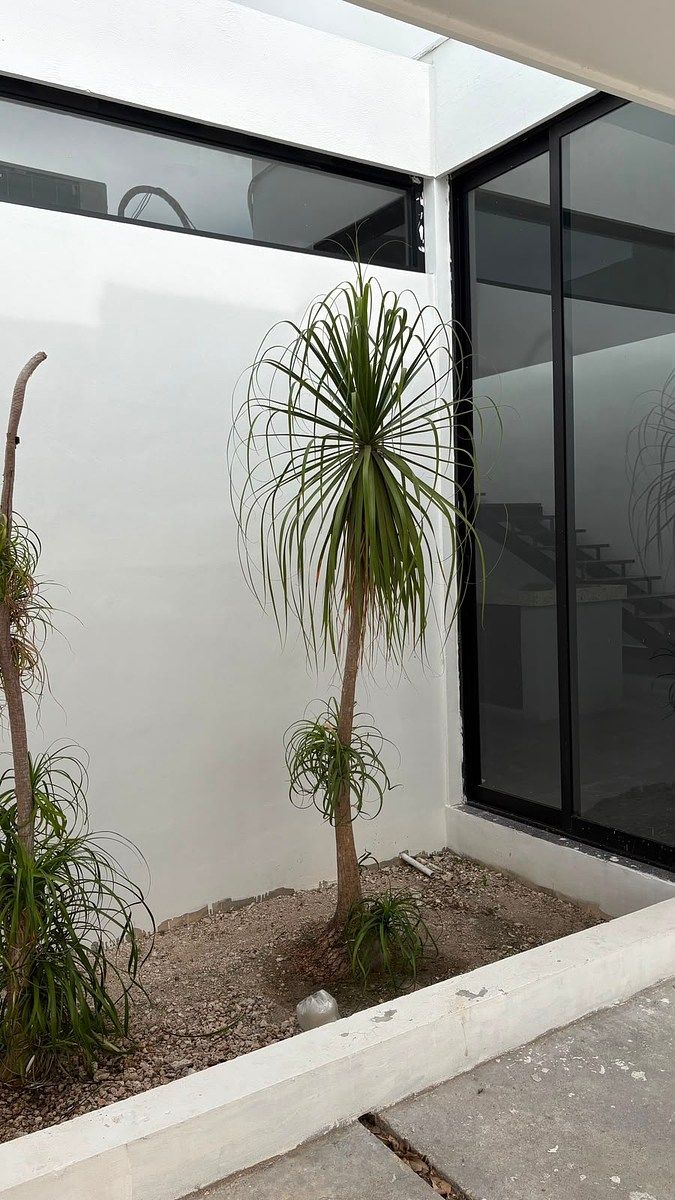 House in Altabrisa, Mérida, photo 2 of 13